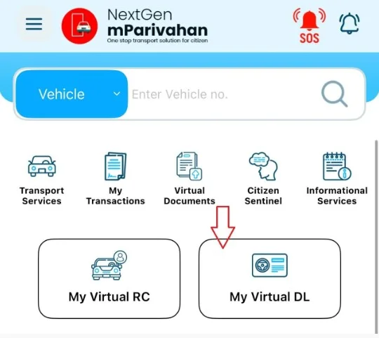 mParivahan app showing digital driving licence